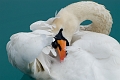 73_Alpy Szwajcarskie_Brienz